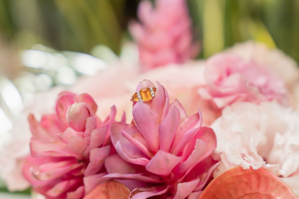 Close-up of pink flowers with delicate petals in soft focus.