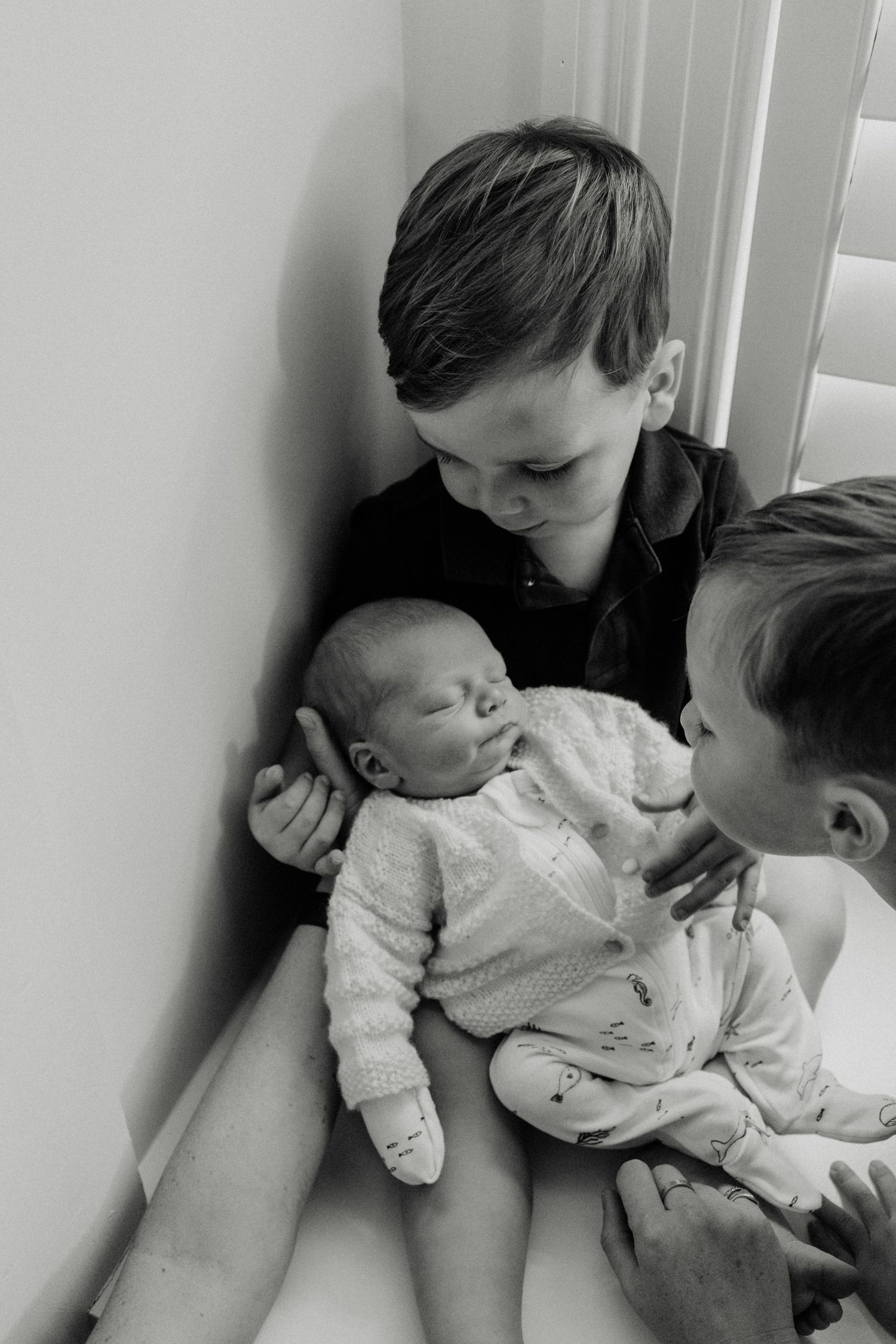 Geelong Melbourne newborn maternity family couples photographer photography