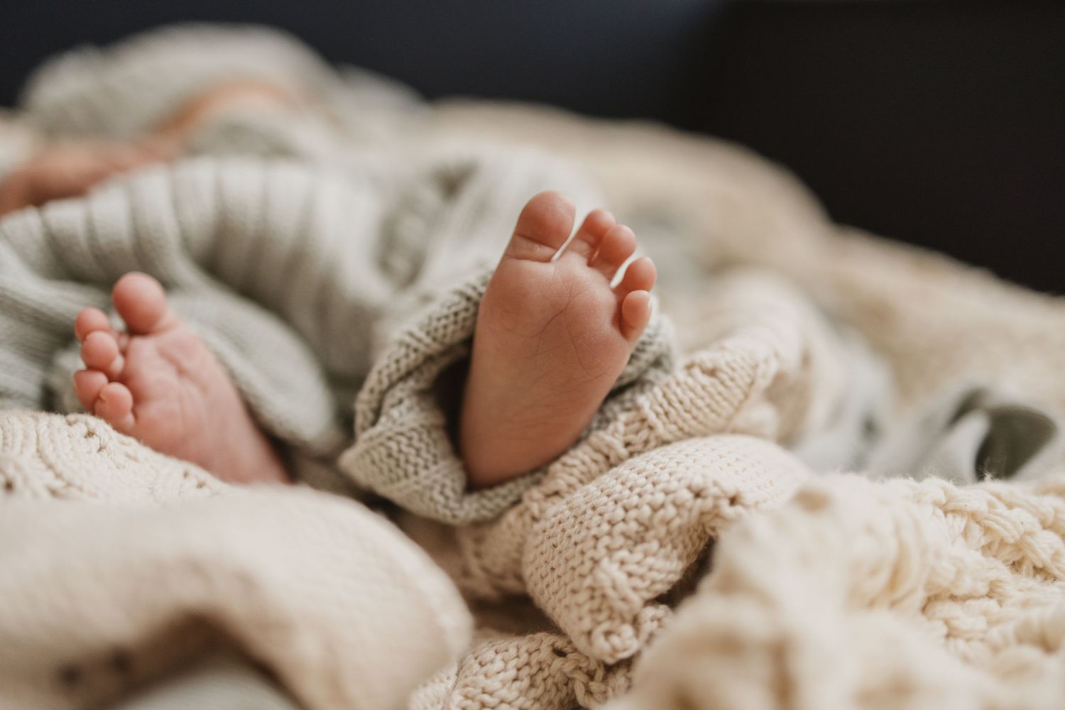 Geelong Melbourne newborn maternity family couples photographer photography