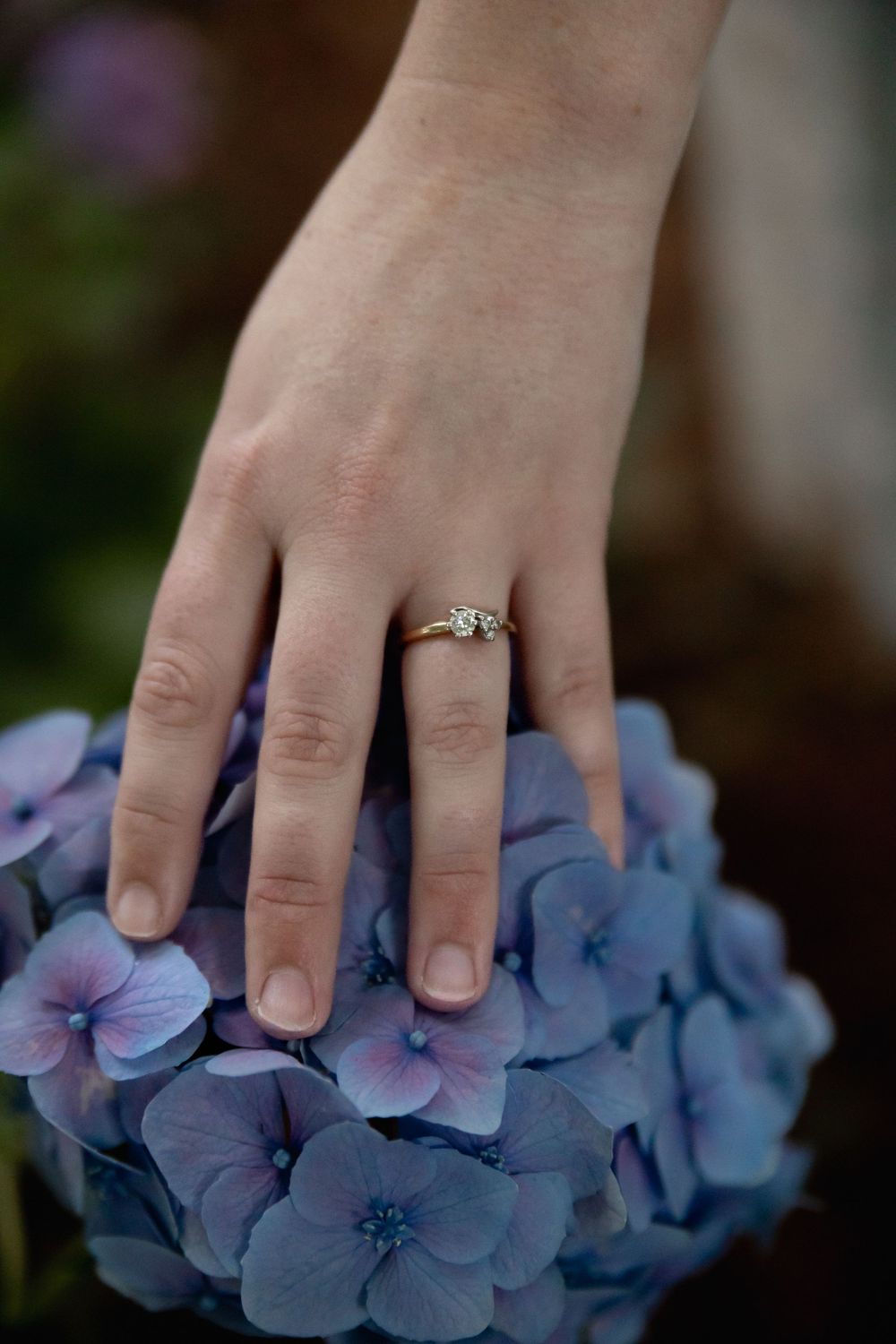Close-up of a hand wearing a diamond engagement ring while resting on blue hydrangea blossoms at Norfolk Botanical Gardens.