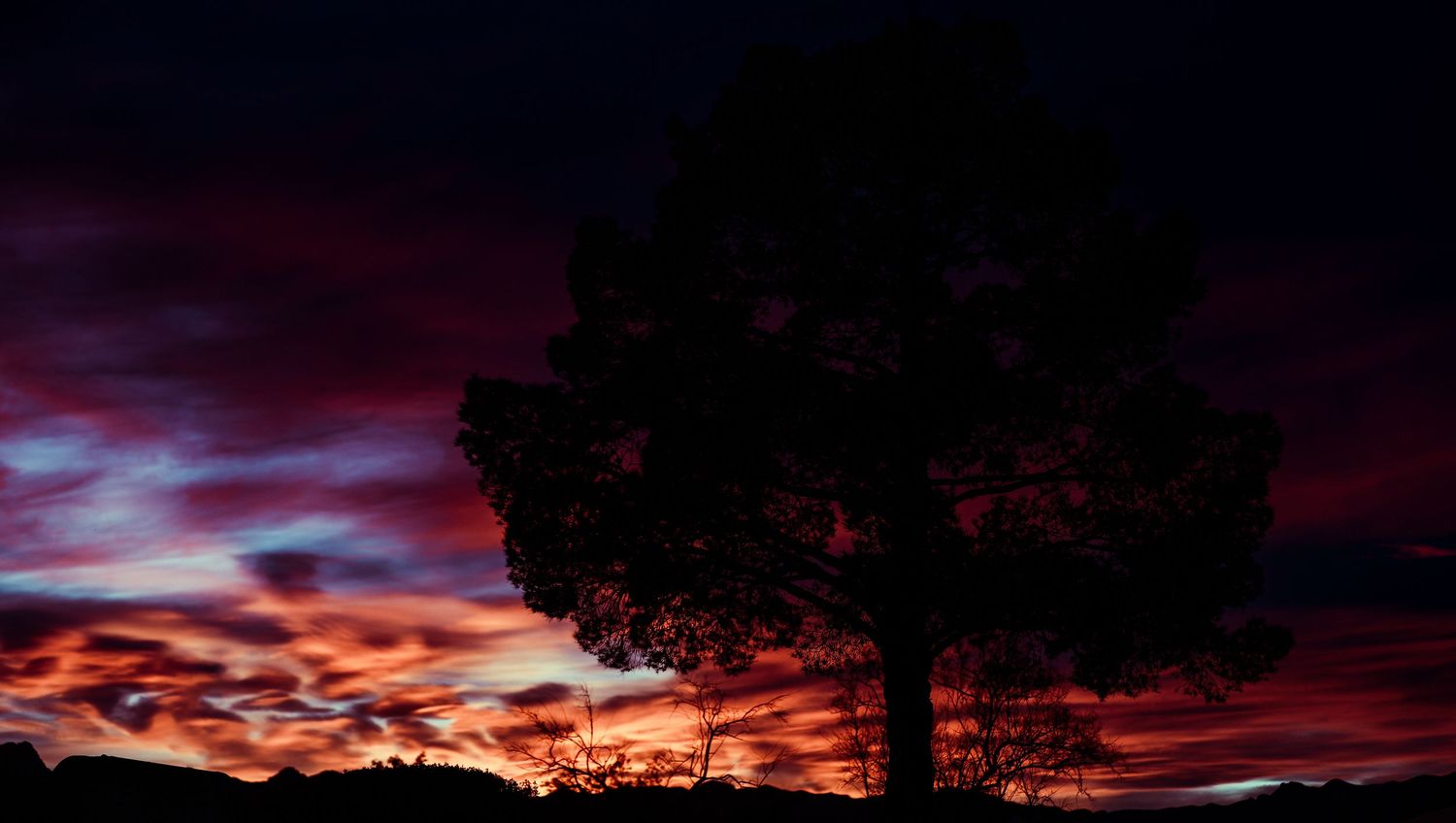 Dramatic red and orange sunset sky with dark tree silhouette in foreground.