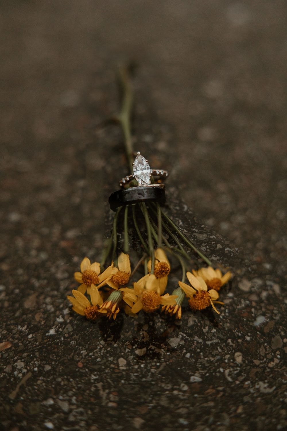 Wedding rings displayed on small yellow wildflowers against a dark textured background in macro photography.