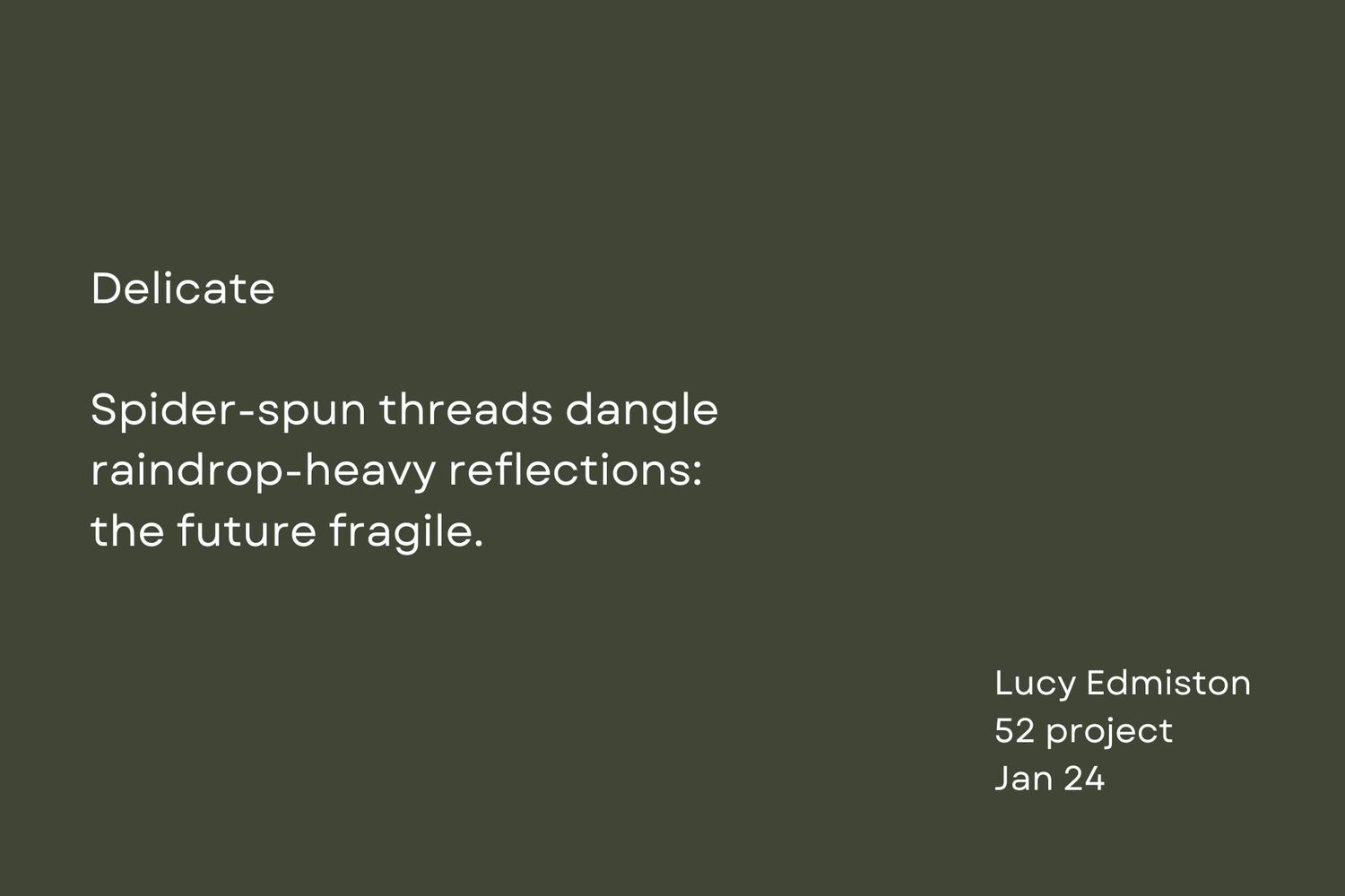 White text on dark green background featuring a poem about spider webs and fragile reflections.