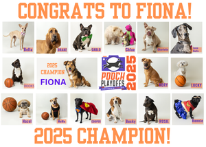 Pooch Playoffs Tucson winners