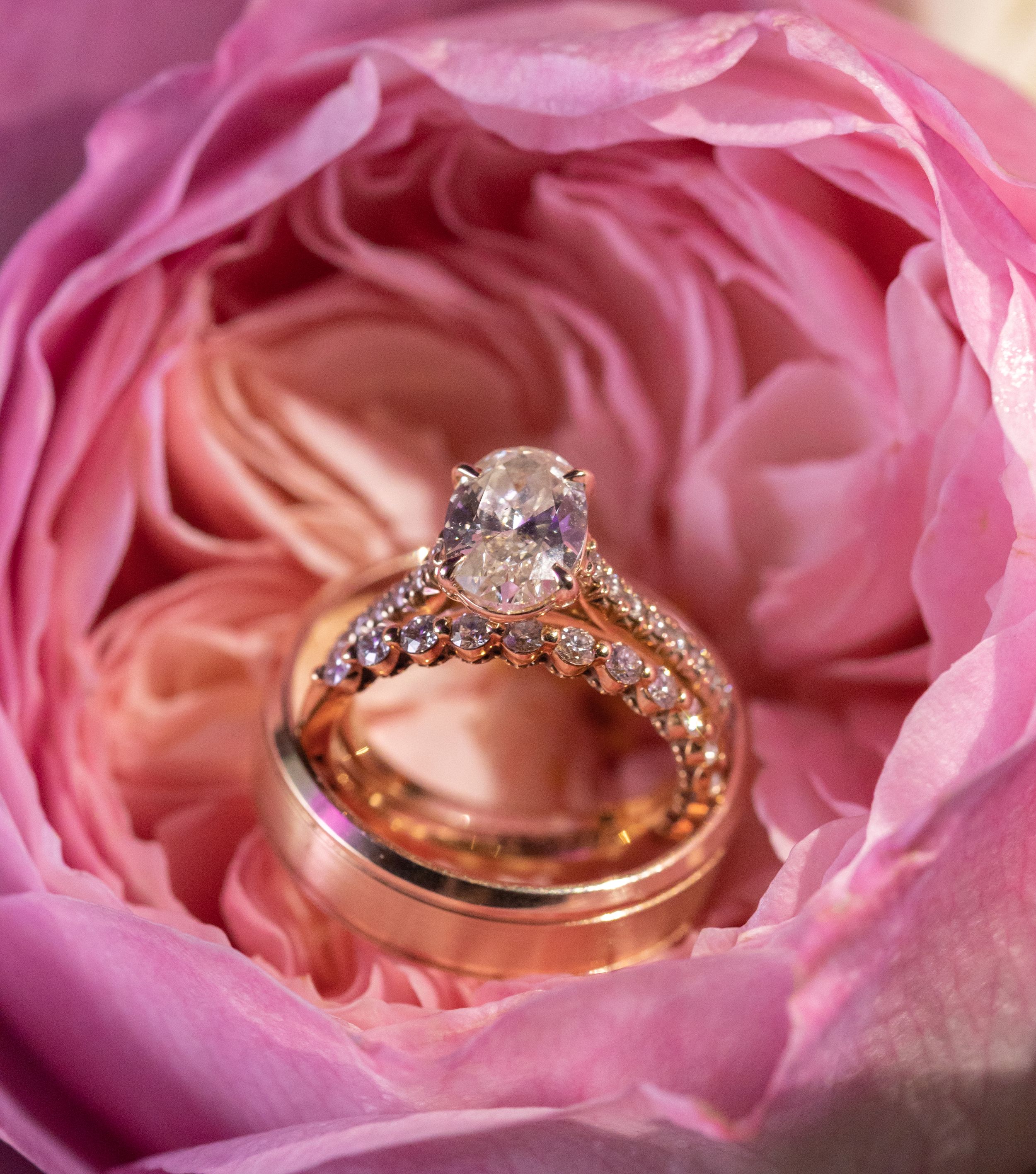 Diamond engagement ring and wedding band nestled in pink rose petals.