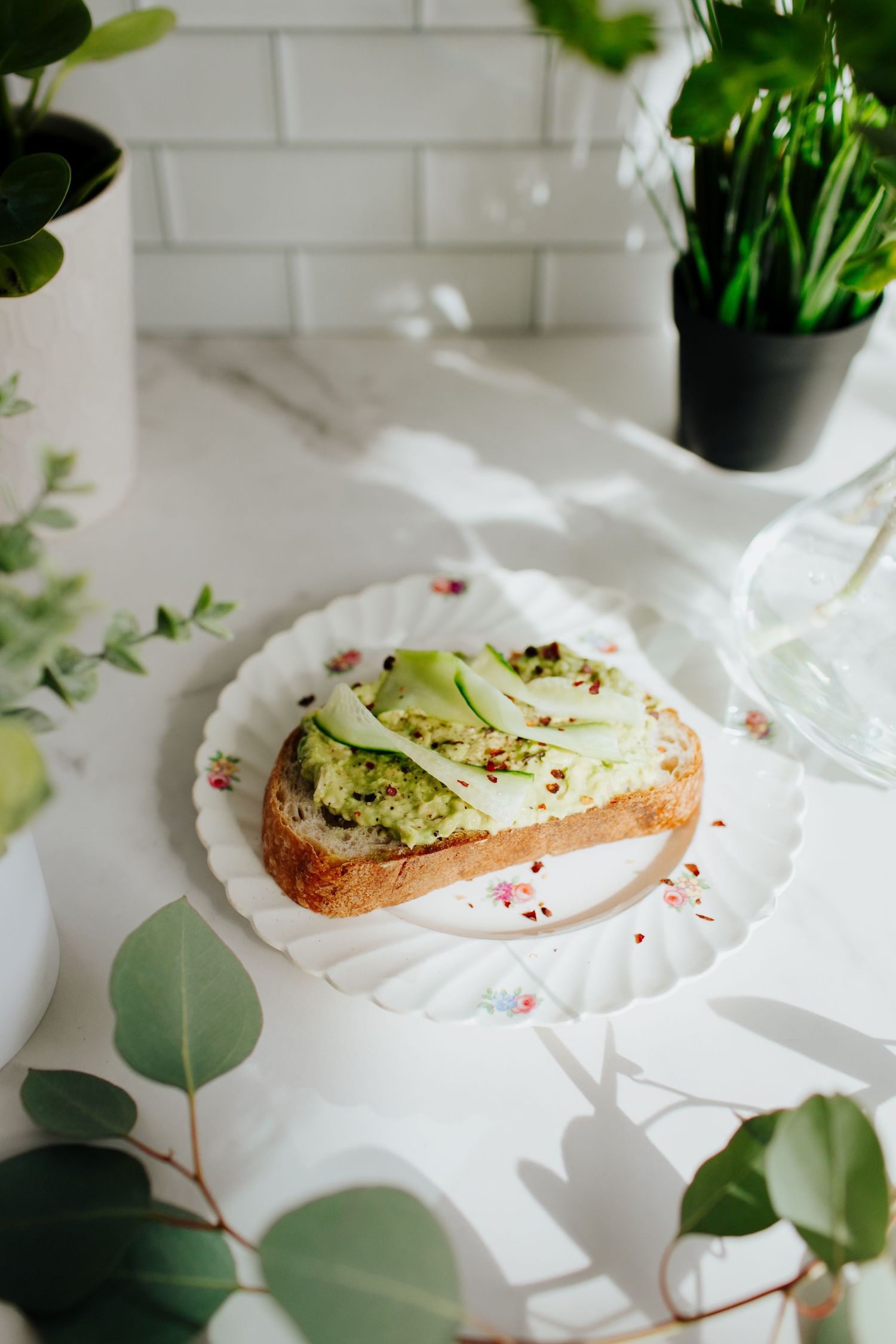 Avocado toast with cucumber slices and seasonings on a white plate surrounded by potted plants.