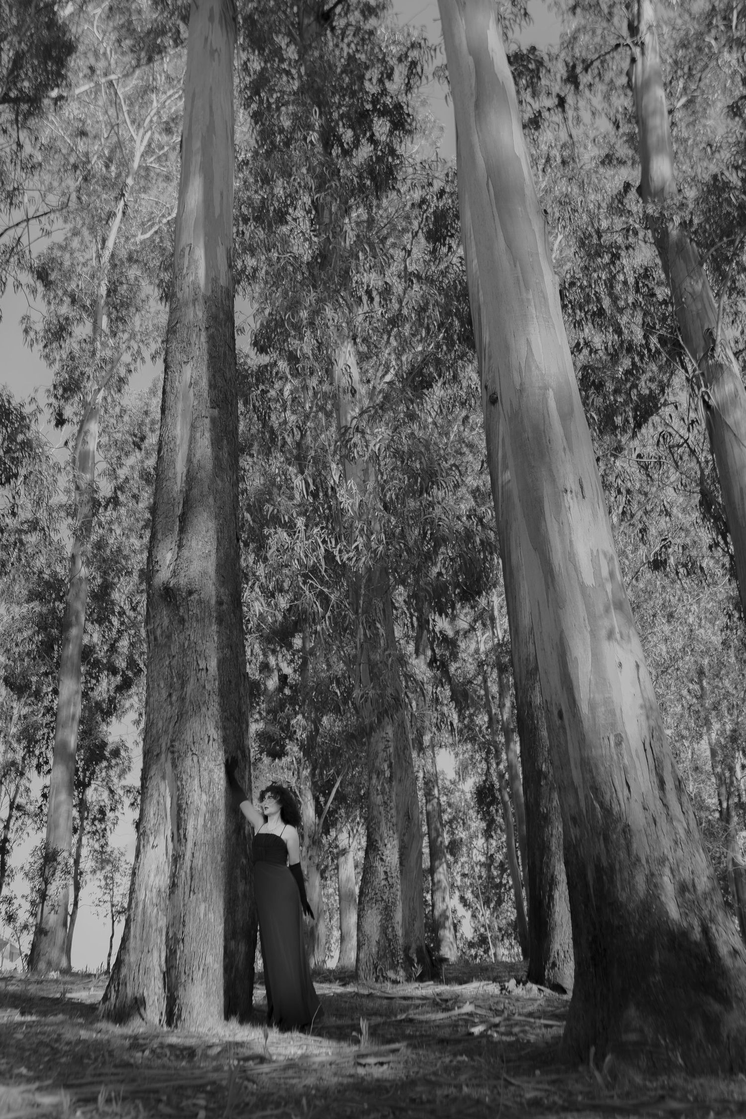 fotografia artistica, fotografia mistica; fotografia a preto e branco; fotografia artistica;