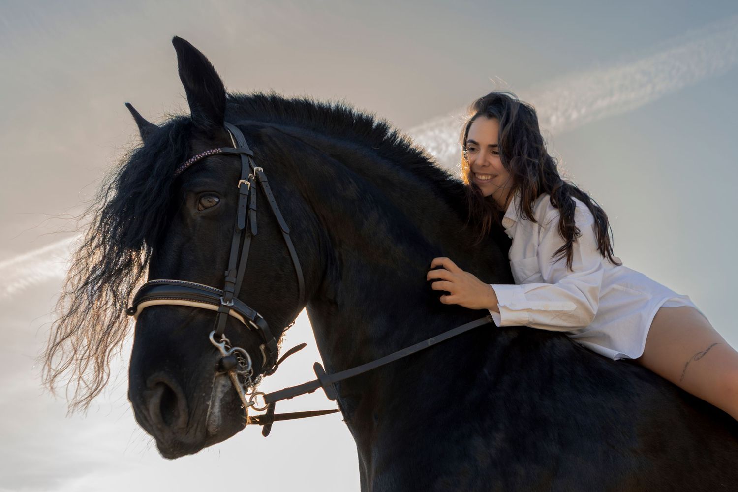Sessões individuais; sessões equestres; sessões fotográficas profissionais; sessões fotográficas com estilo diferenciado