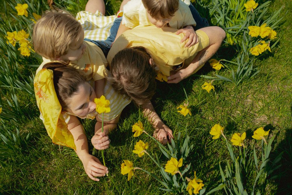 Group looking at blooming yellow daffodils in green grass on spring day.