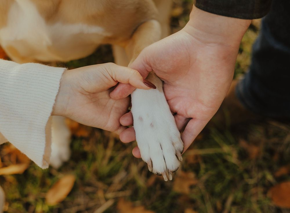 A row of hands passing a small white object in a coordinated sequence outdoors.