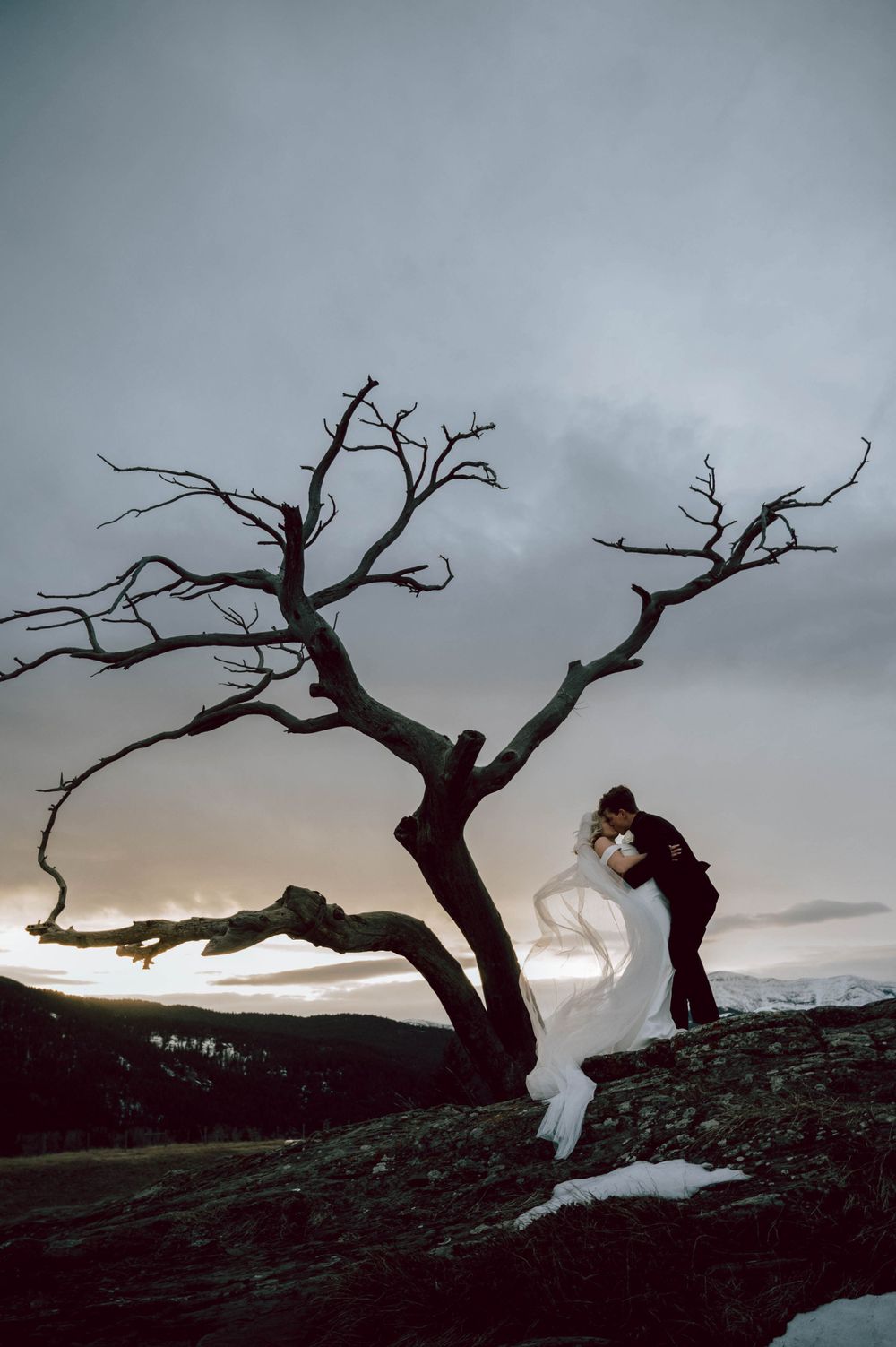 Wedding Photography - Wedding Portraiture of Bride and Groom in Crowsnest Pass, Alberta.