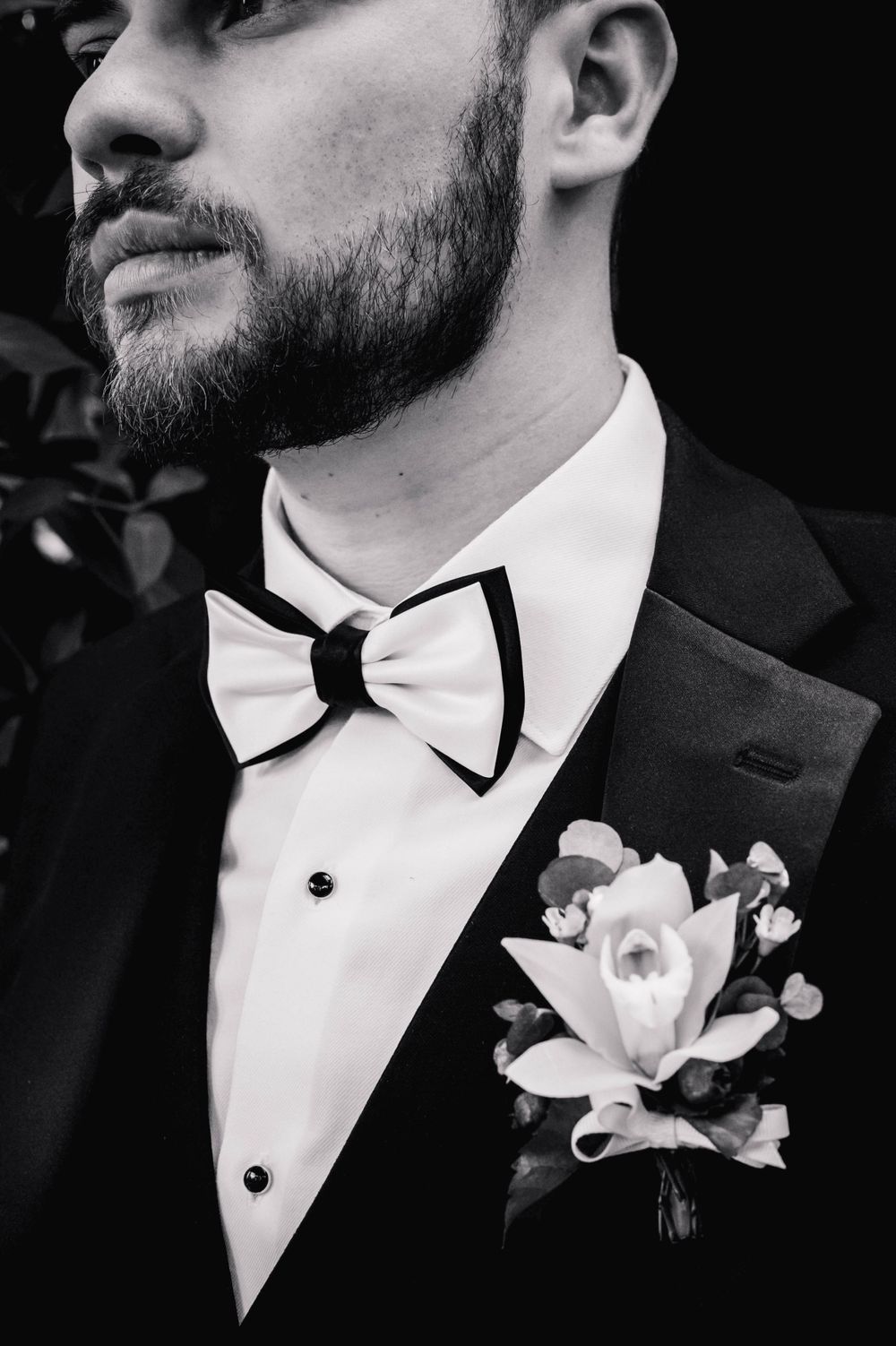 Wedding Photography - Groom Portraiture at the Calgary Zoo, Calgary AB.