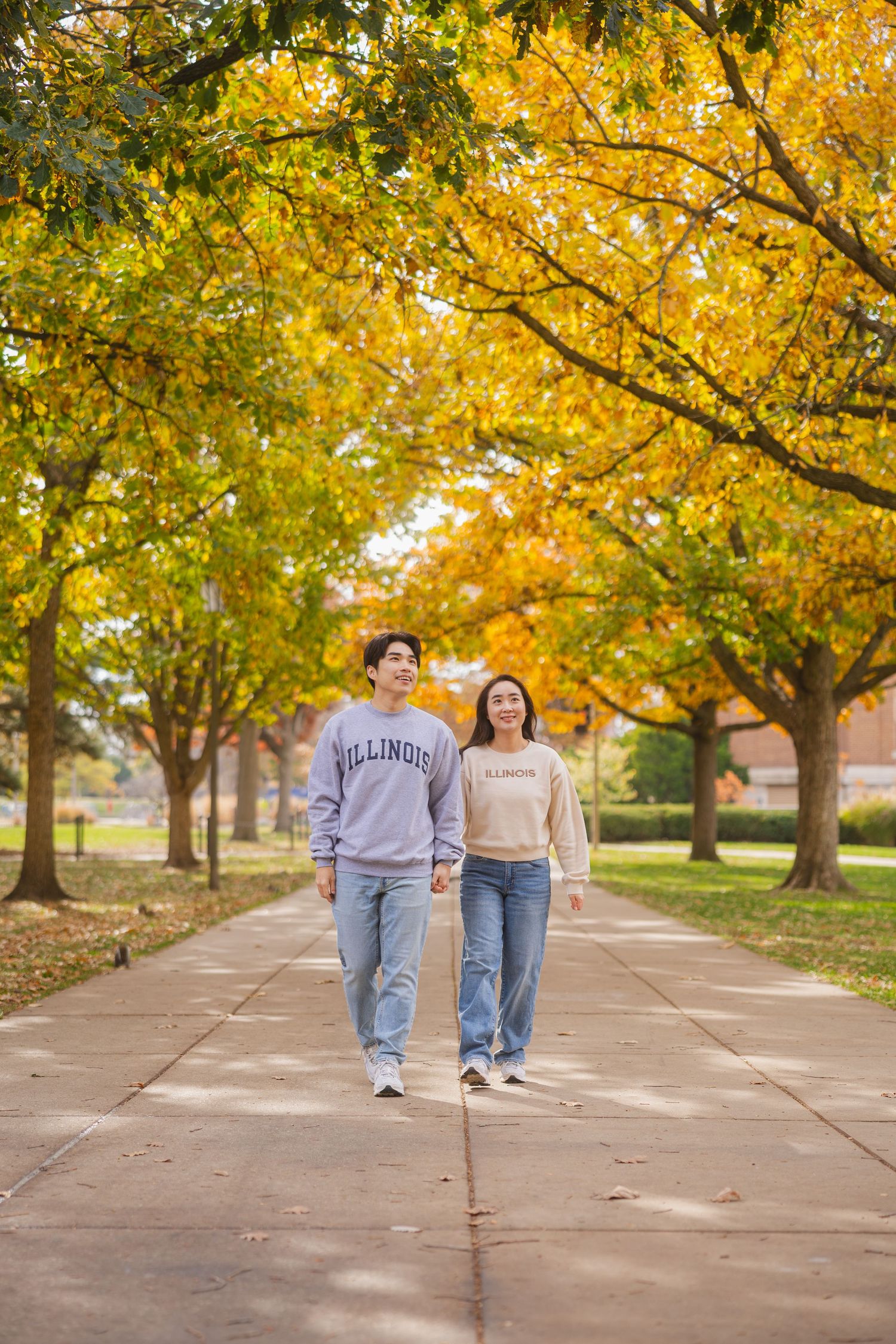 Couple walking through a pathway with fall leaves overhead at the UIUC Main Quad