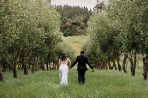 wedding Couple running away from the camera in an Olive grove at Amuri Estate in Hanmer Springs