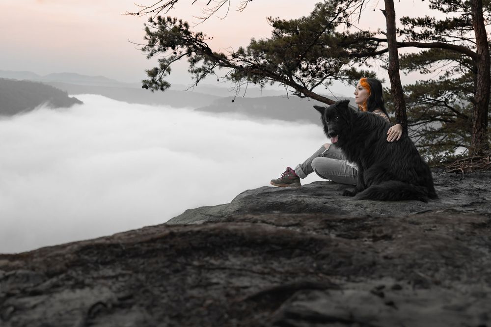 A lone figure sits on a rocky cliff edge overlooking a vast sea of clouds during sunrise with pine trees in the background. Beauty mountain