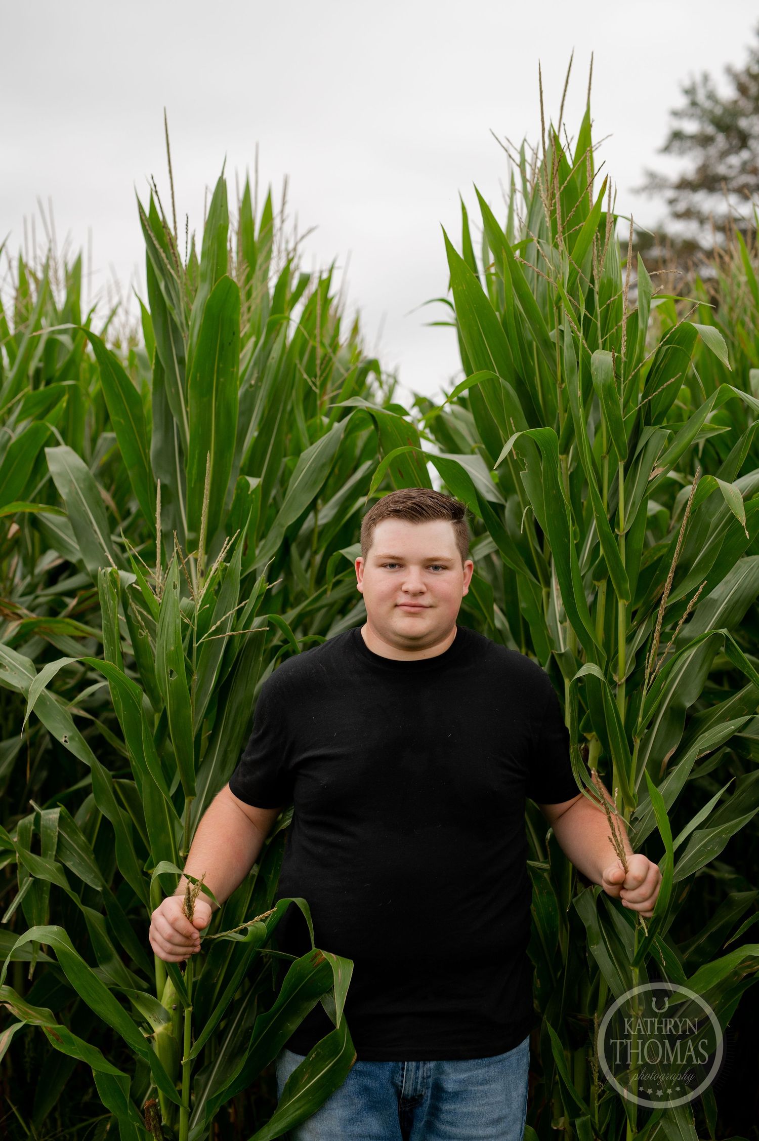 Someone stands in front of tall corn stalks wearing black t-shirt and jeans.