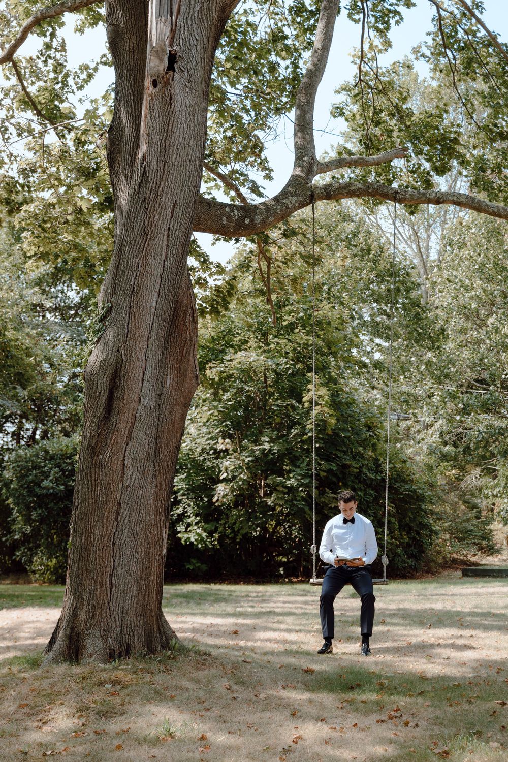A sequence of outdoor photos showing a couple posing near large trees in a park setting.