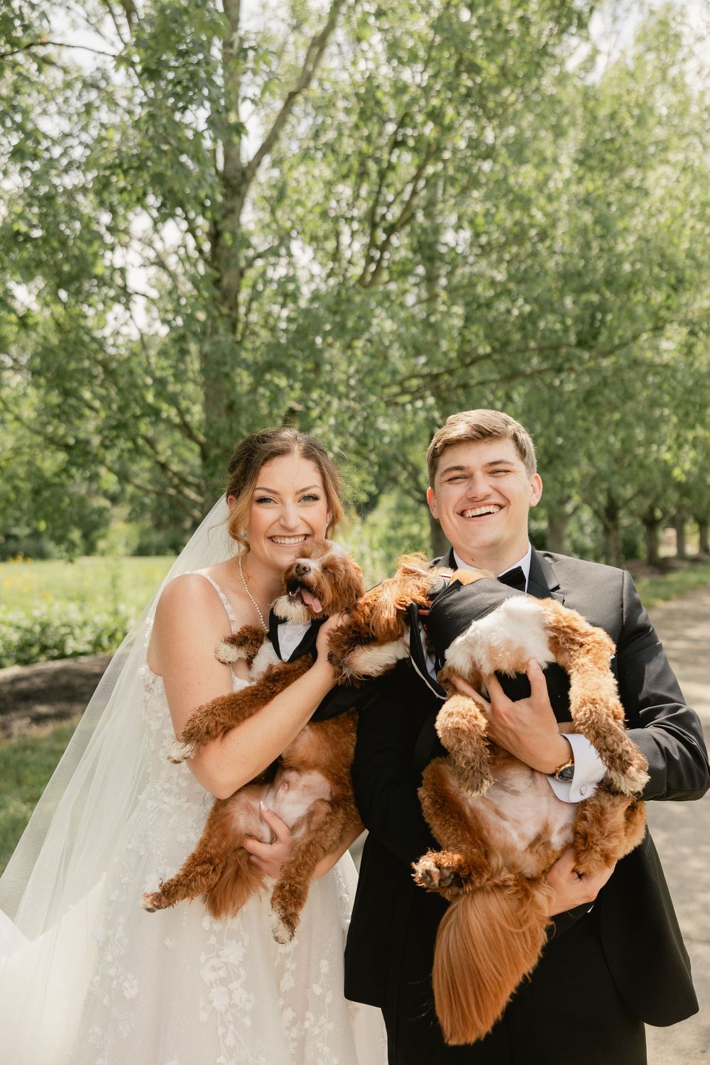 A couple in wedding attire holding brown and white furry pets on their special day.Cincinnati Wedding Photography