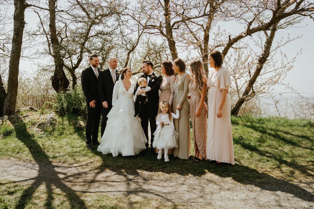 Wedding party gathers under bare trees on a sunny hillside overlooking the water.