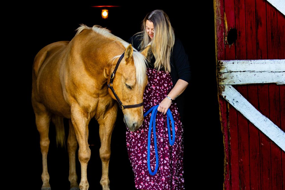 A palomino horse stands inside a barn doorway with distinctive red and white trim.