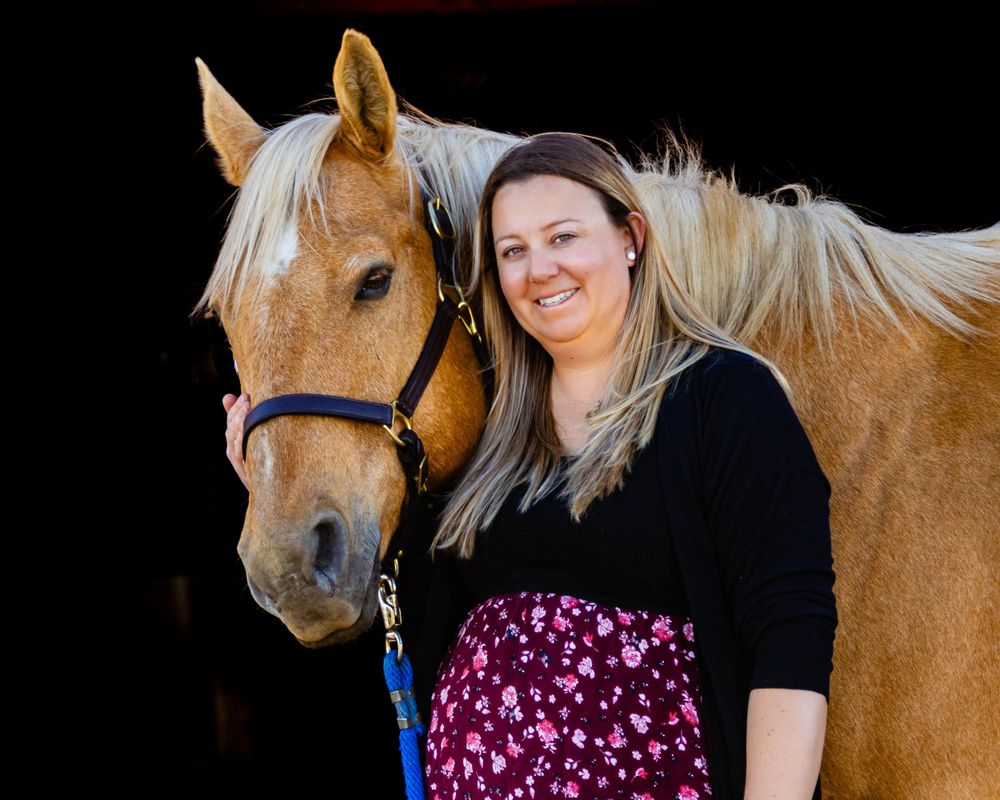 A friendly palomino horse poses in front of a dark background.