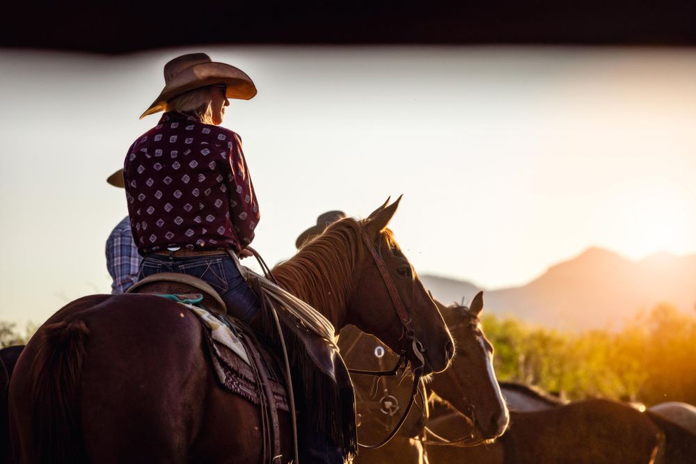 A silhouette of a western rider on horseback against a setting sun.