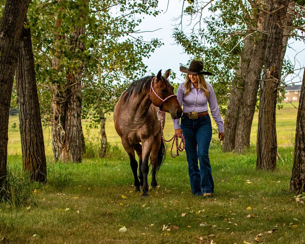 A horse and companion walk together through a serene grove of autumn trees.