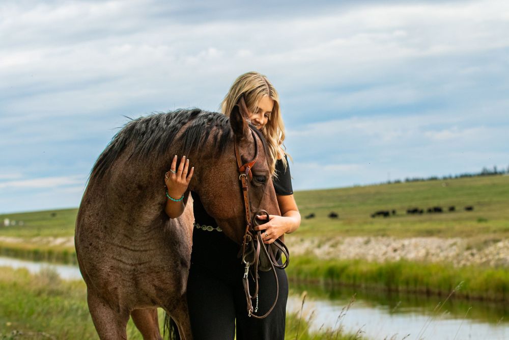young girl pets a dark horse beside a stream in rolling grasslands with cattle in the background