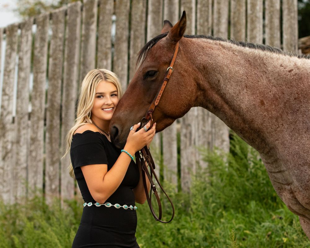A brown horse poses near a weathered barn wall in summer.