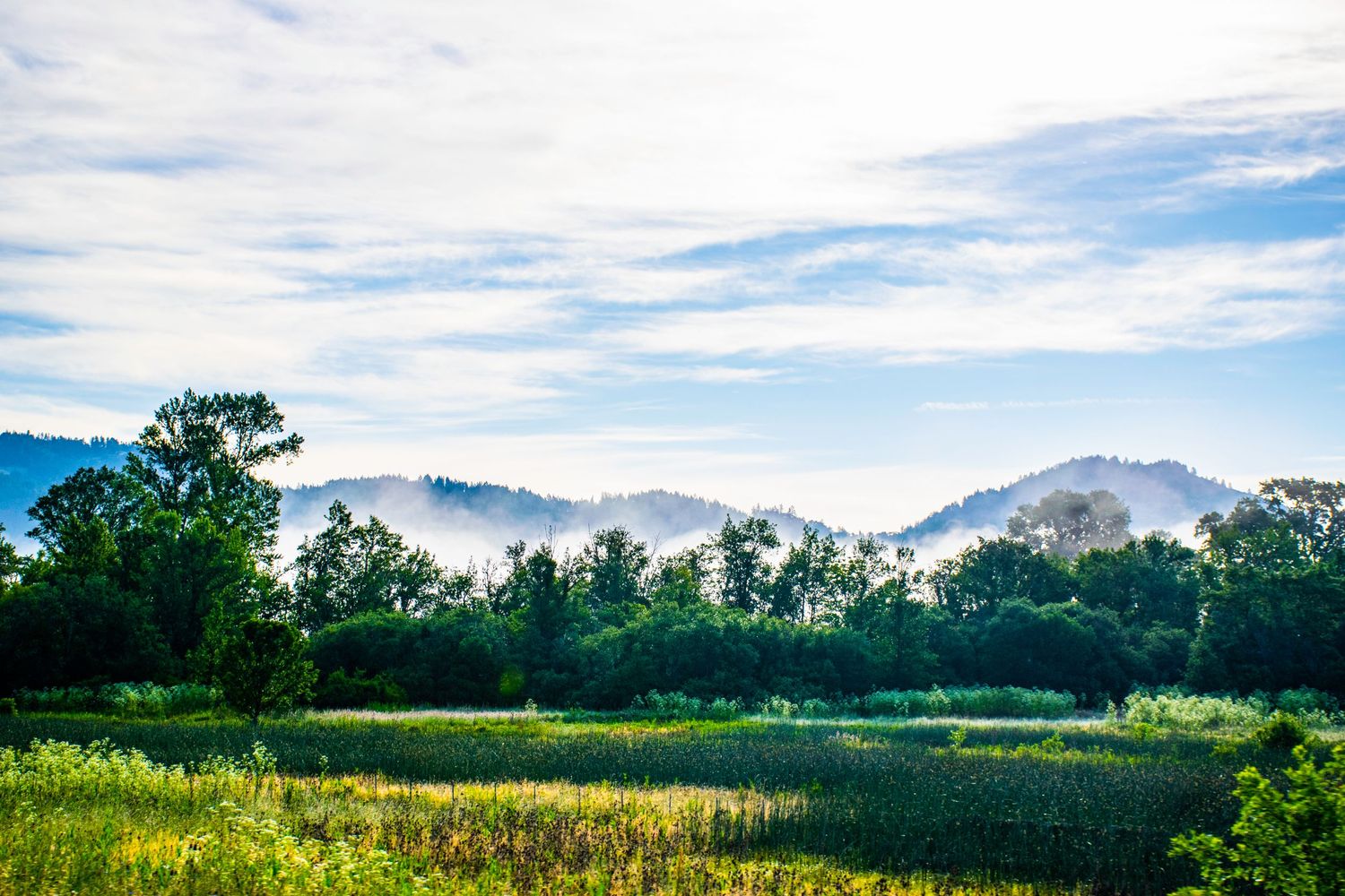Misty mountain landscape with green meadow and trees under a dramatic cloudy sky.