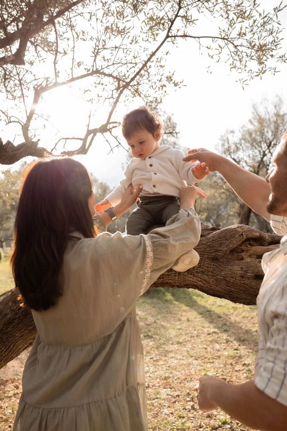 shooting en famille dans les oliviers