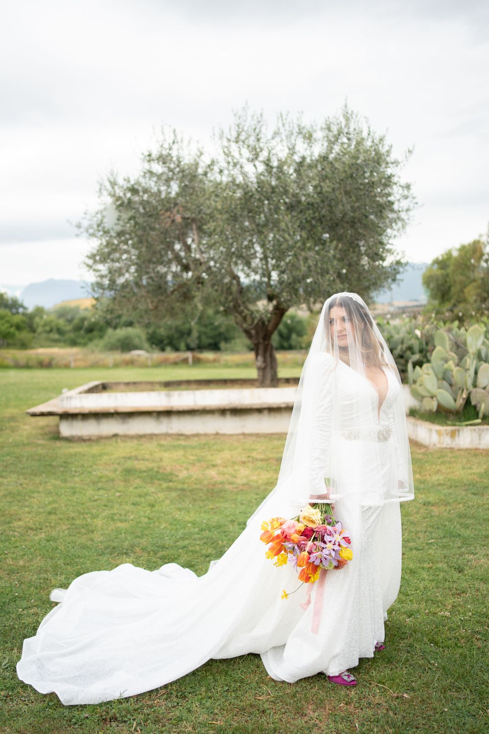 Bride in flowing white dress and veil poses gracefully on grassy field with olive trees.