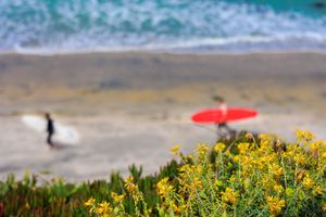 Yellow wildflowers bloom on coastal cliffs with a blurry surfer and red umbrella visible on the beach below.