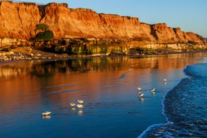 Seagulls fly over calm ocean waters alongside golden cliffs at sunset in Del Mar Beach, California.