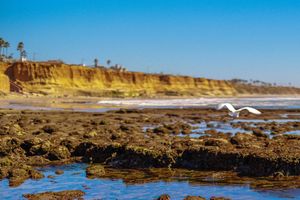 Rocky tide pools along the beach with golden cliffs and blue sky at Crystal Cove State Park in California.