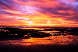 Dramatic orange and purple sunset sky reflects in tidal pools along a rocky coastal shoreline.