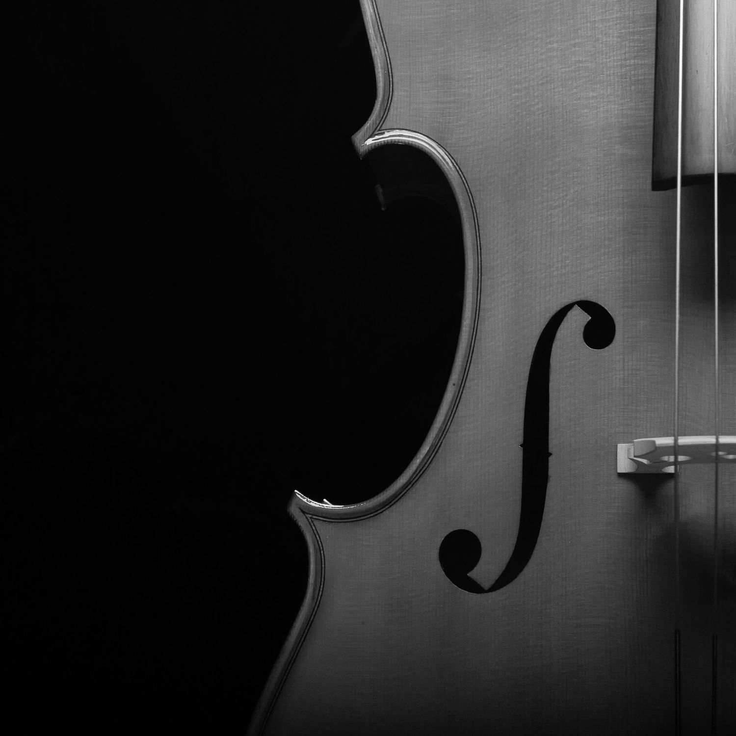 F hole and edge details of a Viola in black and white