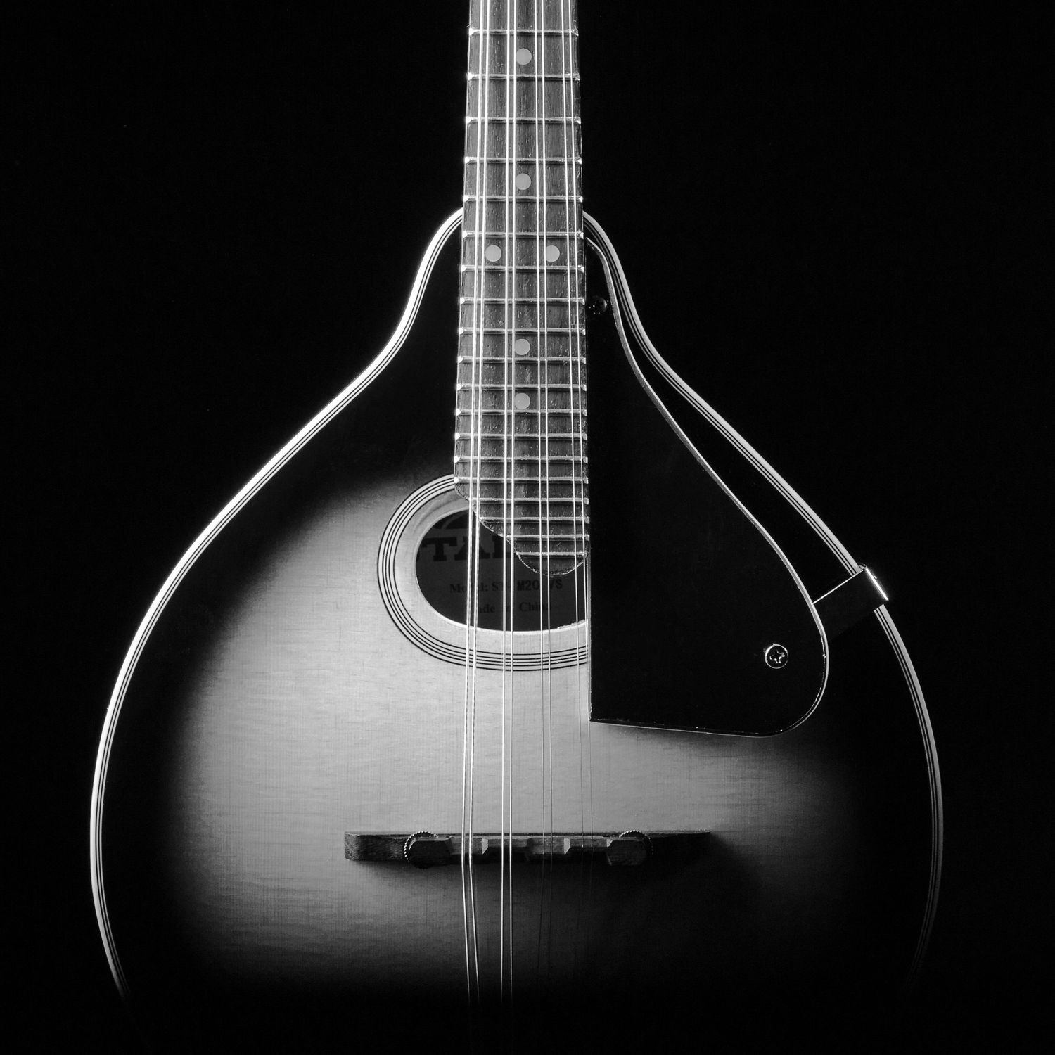 Mandolin in black and white