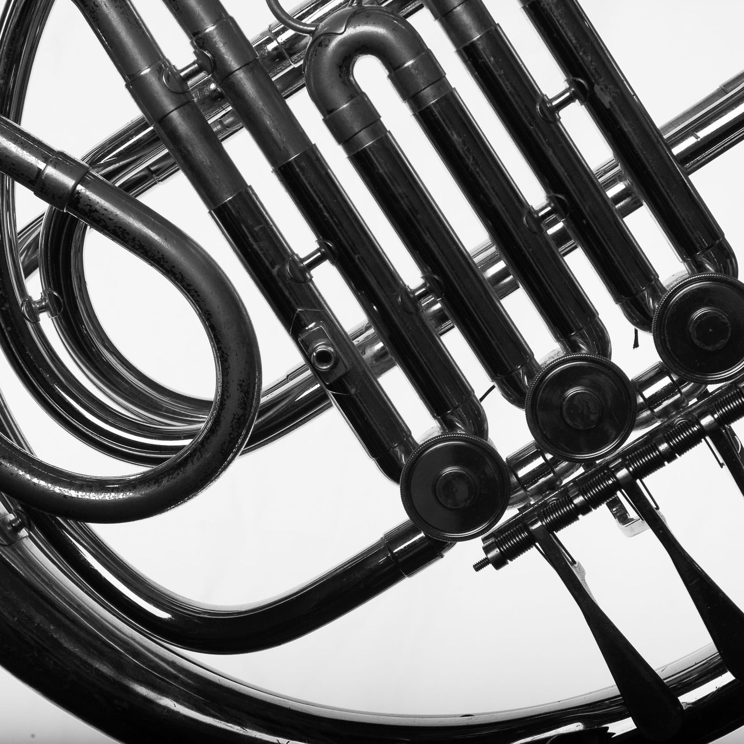 French Horn aka The Horn tubing close up black and white
