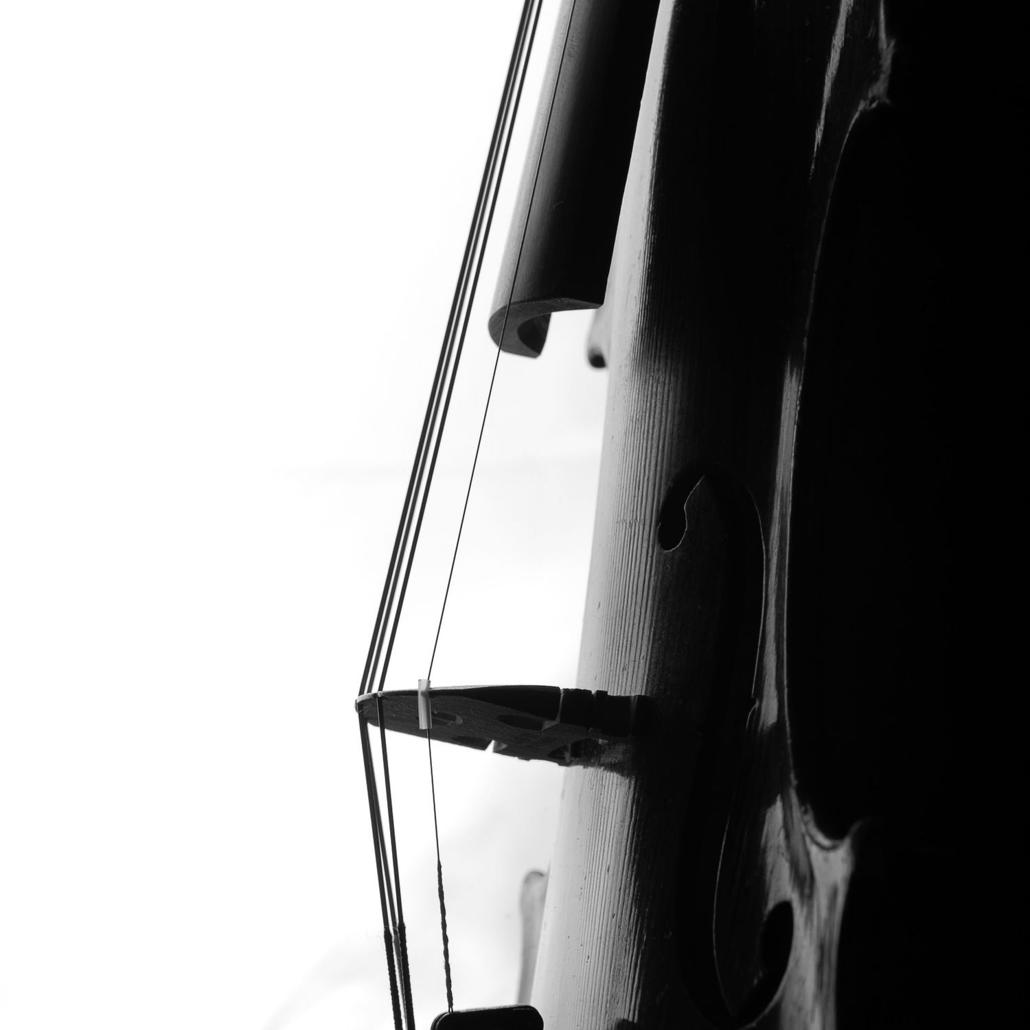 Black and White profile of a cello bridge