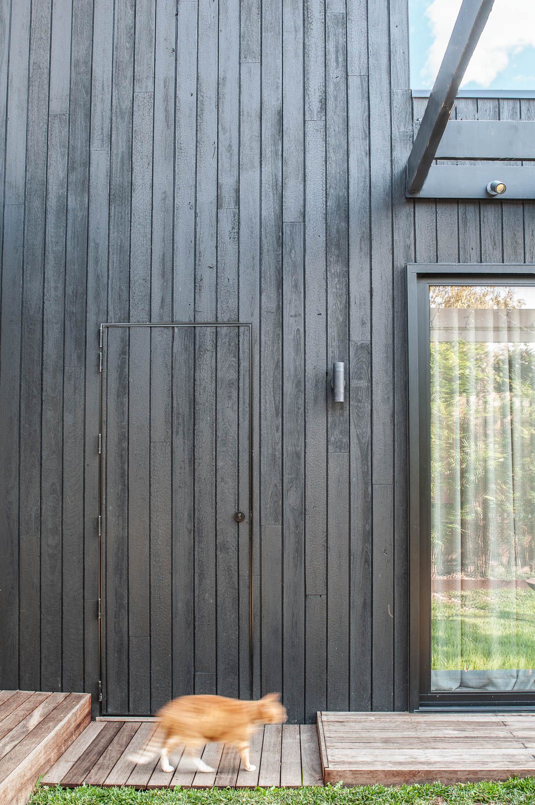 Dark wood-clad exterior wall with ginger cat lounging on wooden deck.