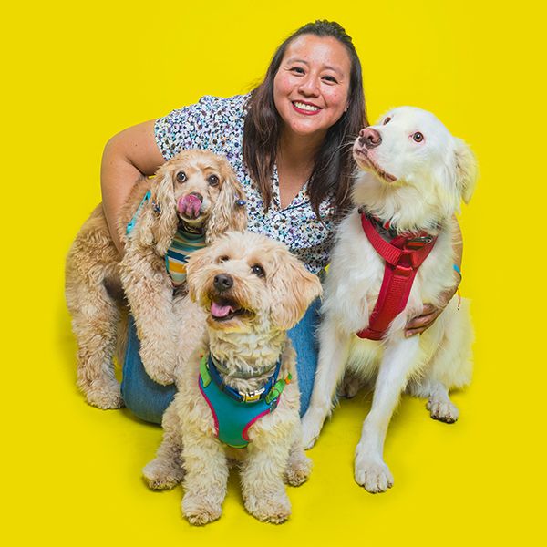 Three happy dogs in colorful bandanas pose with someone against a bright yellow background.