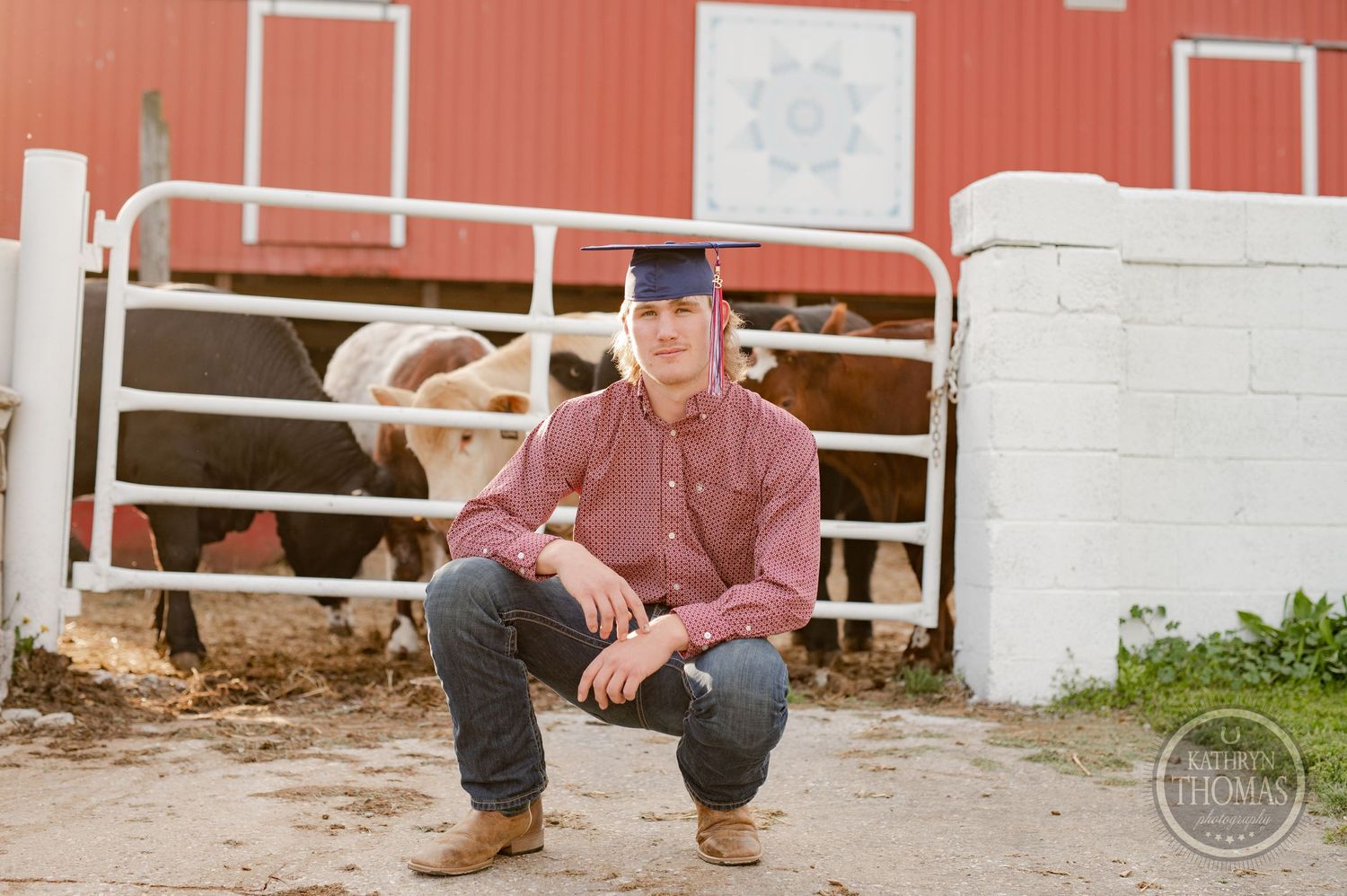Person in red shirt crouches by farm fence with cattle in background near red barn.