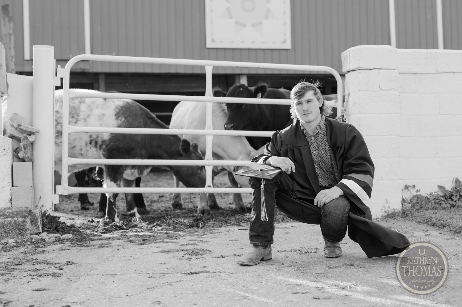 Black and white photo of someone in graduation attire crouching near farm fence with cattle.