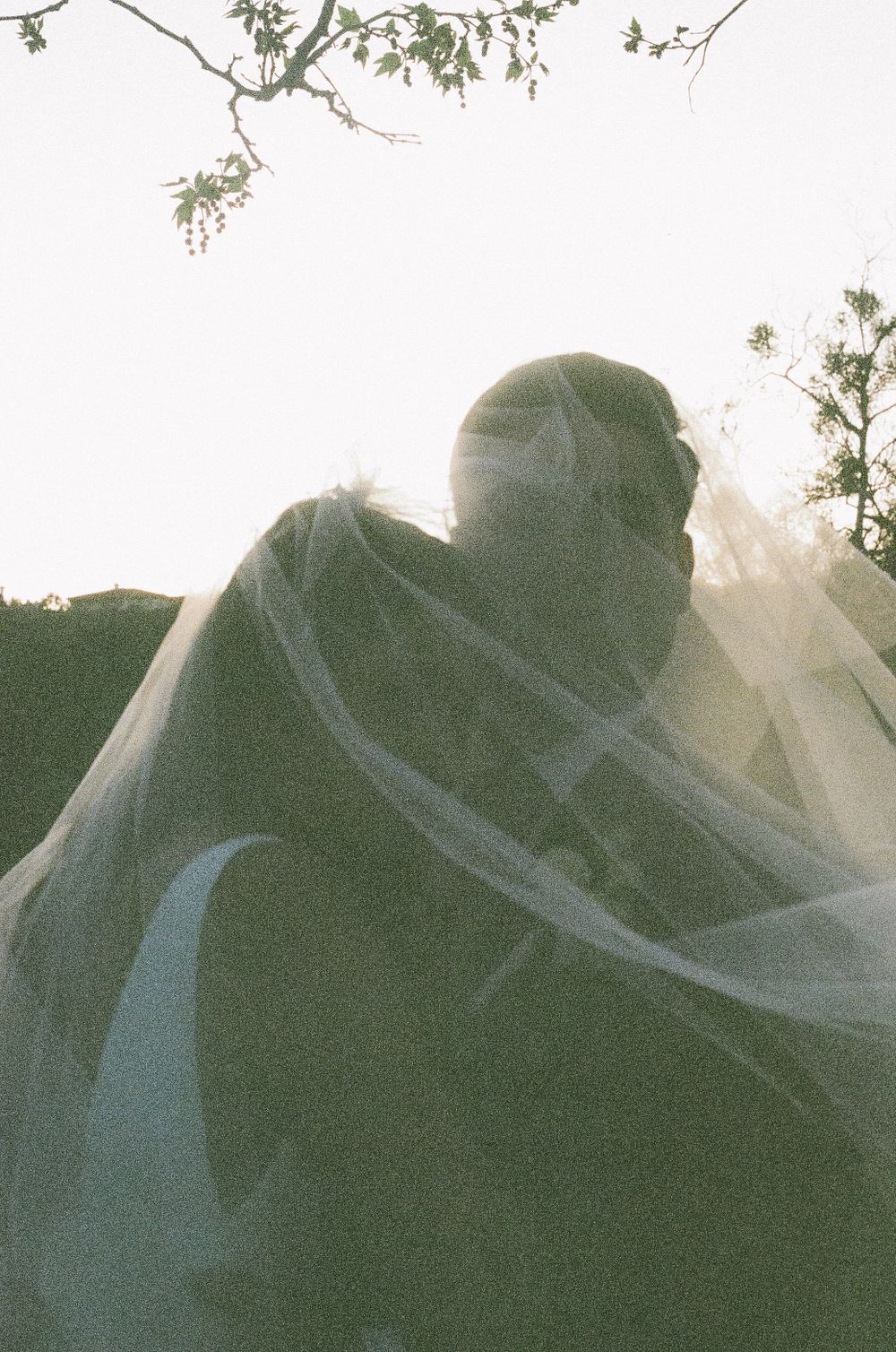 Artistic silhouette wedding photography against a natural outdoor backdrop.