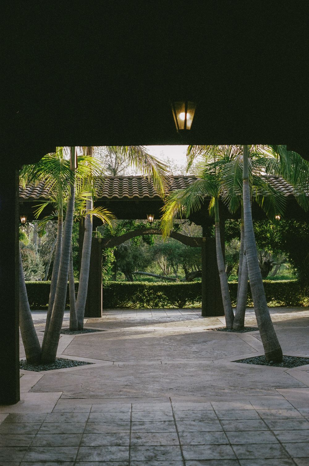 Palm tree-lined outdoor venue with stone pavers and lantern lighting at dusk.
