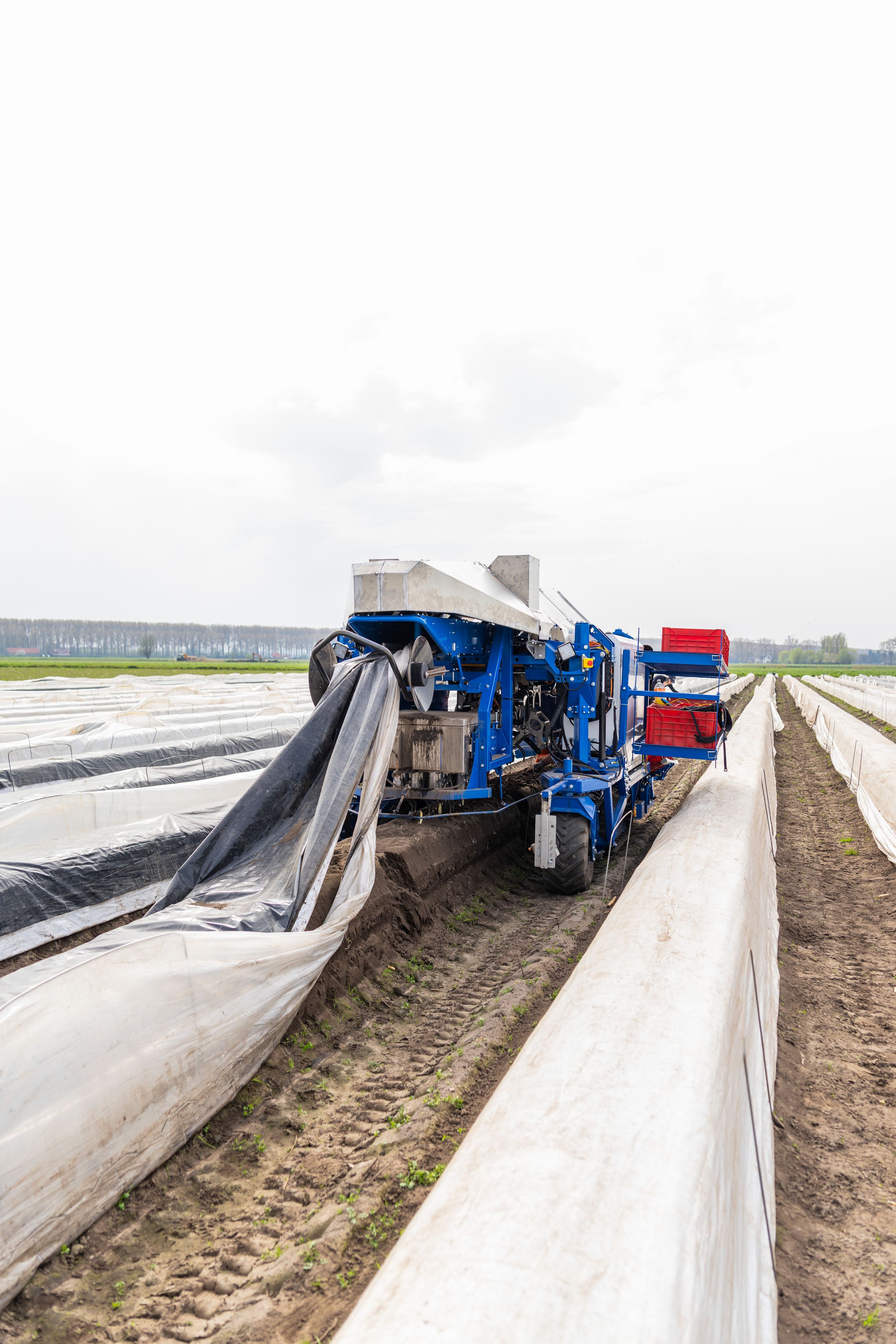 Agricultural machine laying black plastic mulch film on crop rows in a flat field under overcast skies.