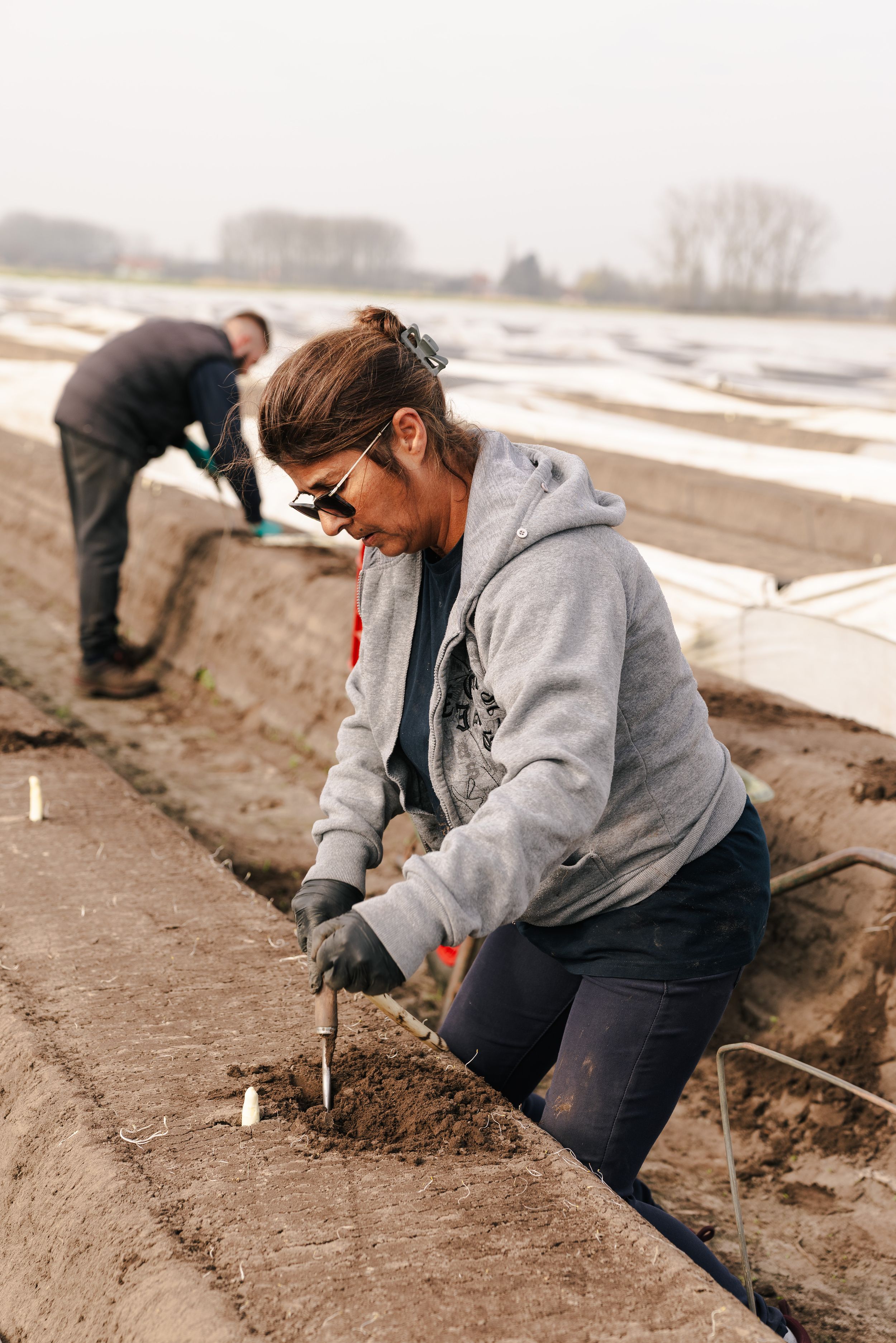 Two agricultural workers planting crops in rows of soil on a farm field on an overcast day.