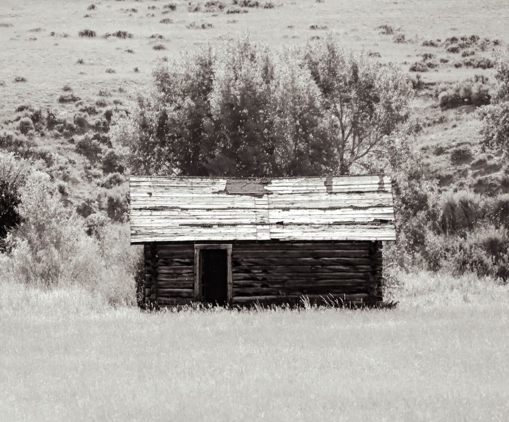 Historic log cabin stands alone in a deserted prairie landscape in black and white.