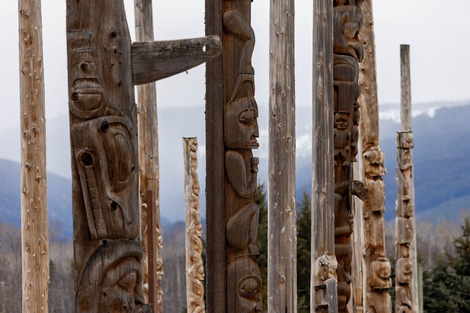 Historic carved wooden totem poles with intricate designs stand against a mountain landscape.